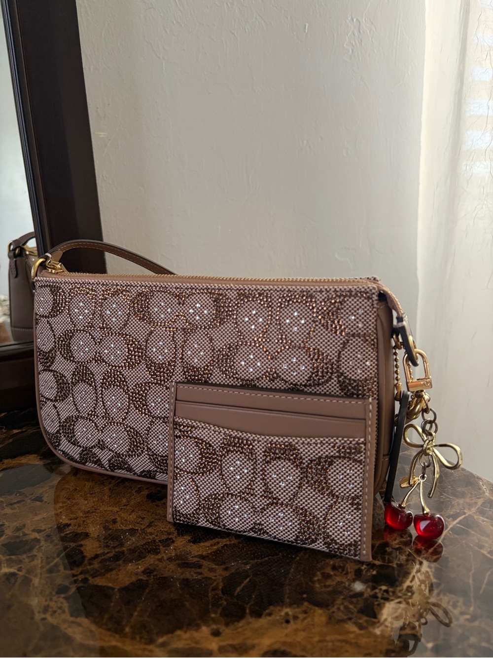 Coach Plaza Crystal Bag + Matching Card Case 🤎✨